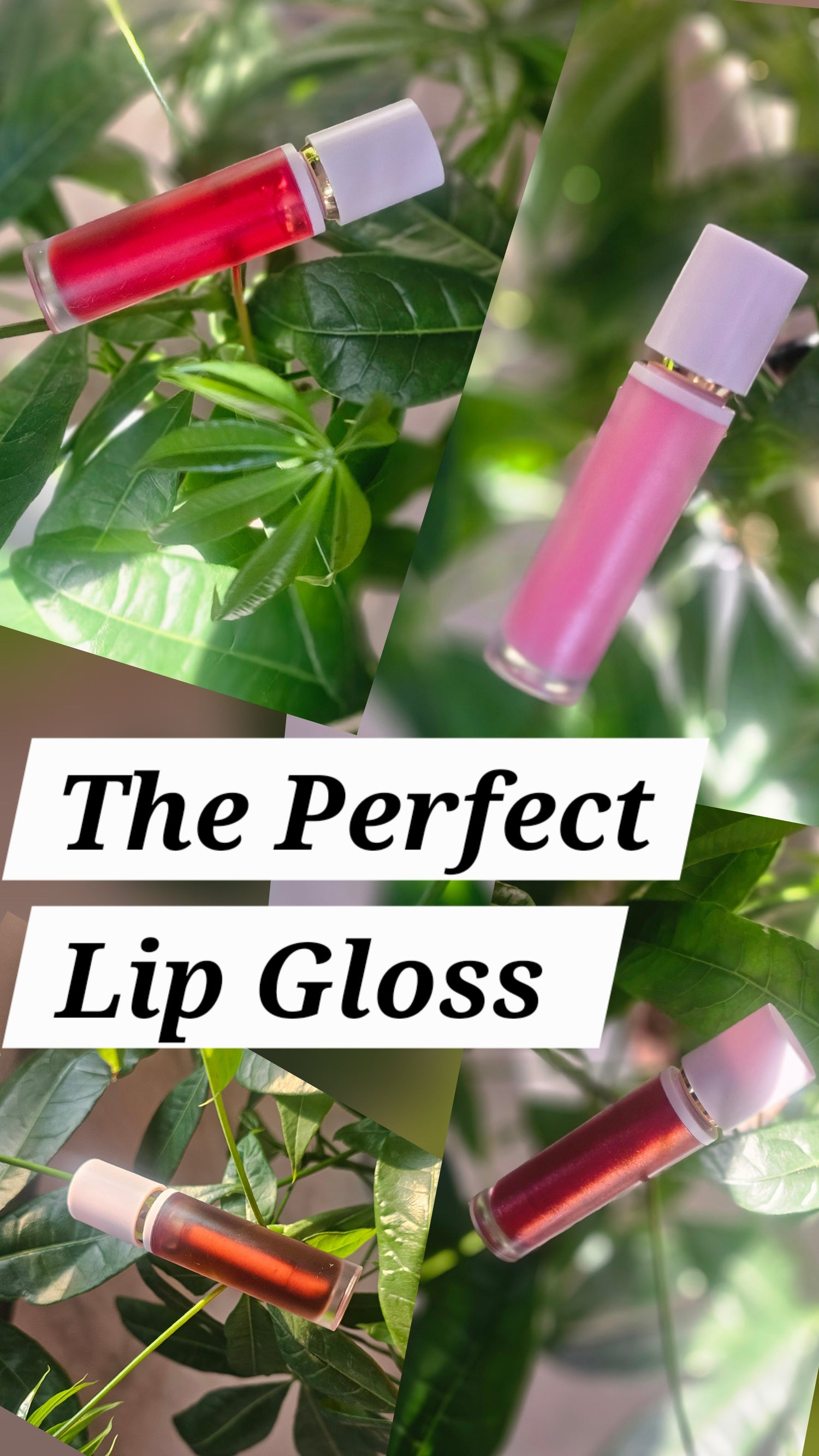 The Perfect Lip Gloss