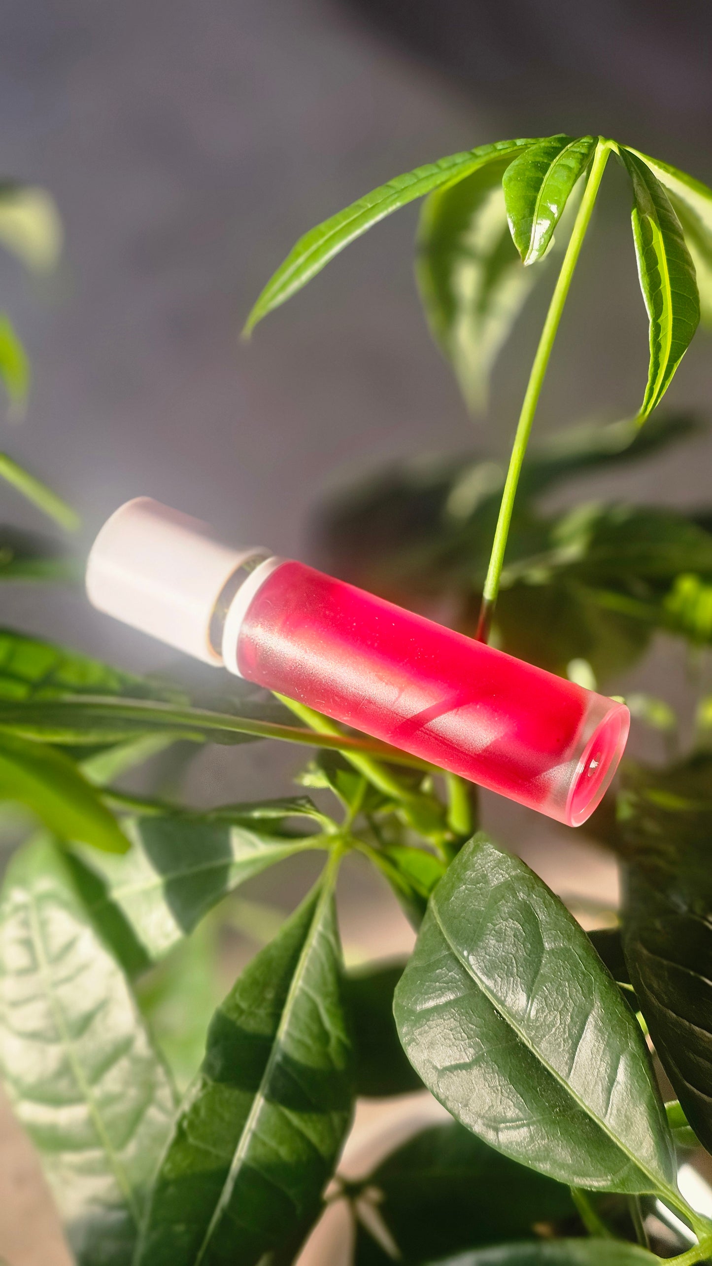 Red Rose Lip Gloss