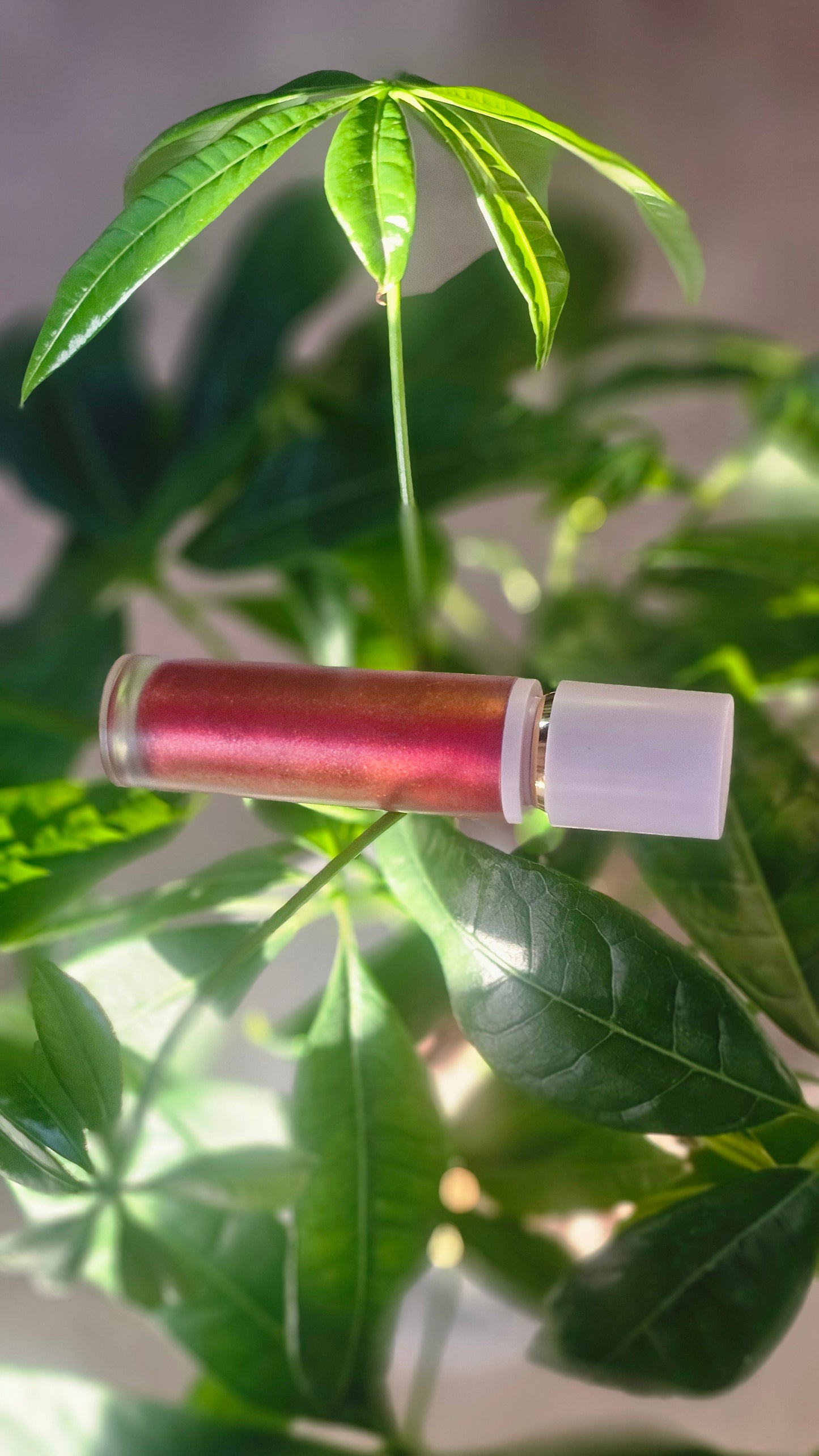 Chameleon Red Lip Gloss